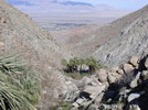 Down Borrego Palm Canyon