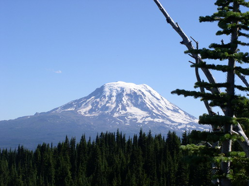 Mt Adams