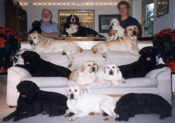 Christmas2001.jpg